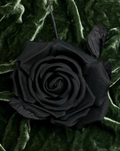 black, rose